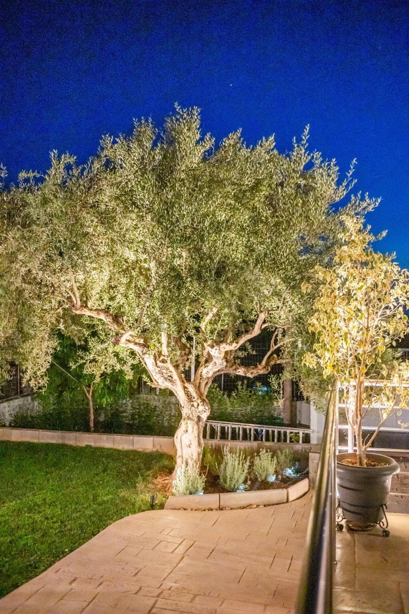 فيلا Thea Seaview Luxury Living كالاماتا المظهر الخارجي الصورة